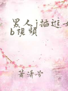 男人j插进女人b视频