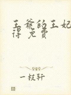 王爷的王妃惹不得 免费