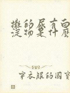 撒的尿有白色沉淀物是什么原因