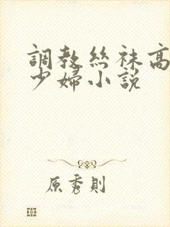 调教丝袜高跟鞋少妇小说