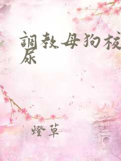 调教母狗校花喝尿