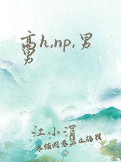 高h,np,男男