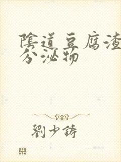 阴道豆腐渣阴道分泌物