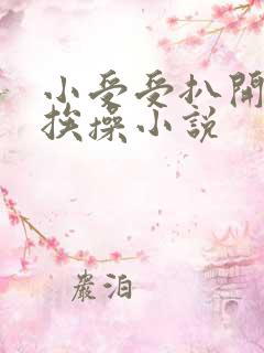 小受受扒开屁股挨操小说