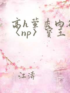 高h荤爽肉欲文〈np〉宝玉