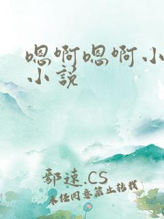 嗯啊嗯啊小骚货小说