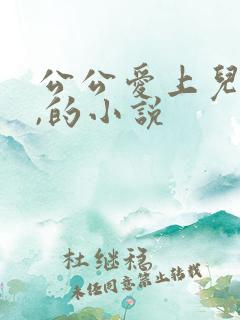 公公爱上儿媳妇,的小说