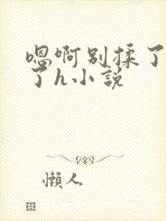 嗯啊别揉了高潮了h小说