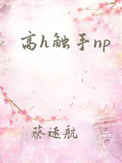 高h触手np