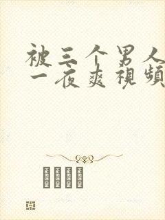 被三个男人躁了一夜爽视频