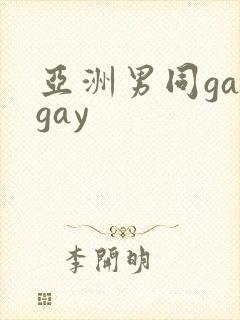 亚洲男同gaygay