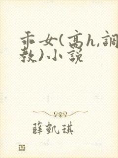 乖女(高h,调教)小说