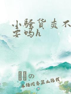 小骚货爽不爽想要吗h