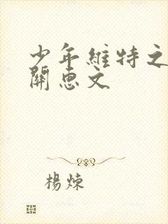 少年维特之烦恼关惠文