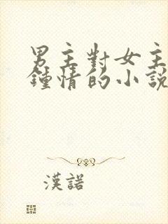 男主对女主一见钟情的小说校园文