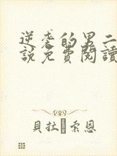 逆袭的男二们小说免费阅读