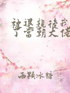 被退亲后我嫁给了当朝大佬 txt