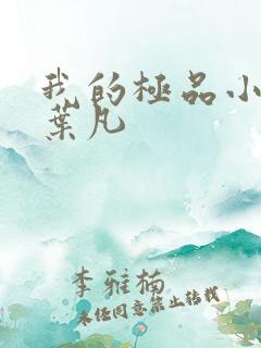 我的极品小姨 叶凡