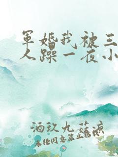 军婚我被三个男人躁一夜小说