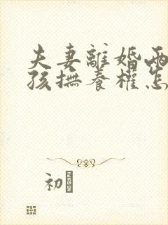 夫妻离婚两个小孩抚养权怎么判