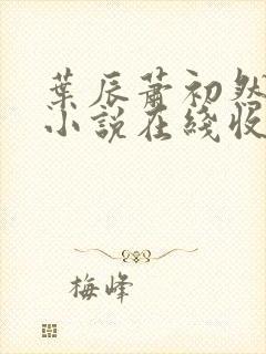 叶辰萧初然有声小说在线收听