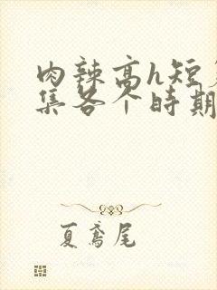 肉辣高h短篇合集各个时期