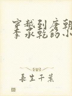 穿越到唐朝成为李承乾的小说