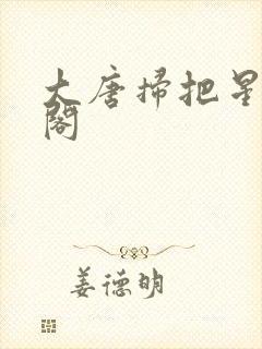 大唐扫把星笔趣阁