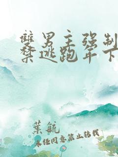 双男主强制爱囚禁逃跑年下苗疆少年小说