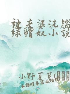 被老婆洗脑变成绿帽奴小说