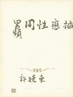 男同性恋插肛视频