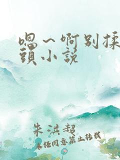 嗯～啊别揉我奶头小说