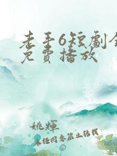 老手6短剧全集免费播放