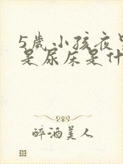 5岁小孩夜里老是尿床是什么原因