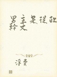 男主是从政的高干文