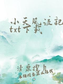 小天风流记小说txt下载