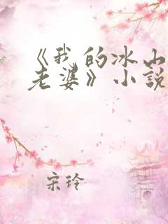 《我的冰山总裁老婆》小说
