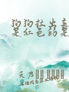 狗狗拉出来的尿是红色的是什么原因