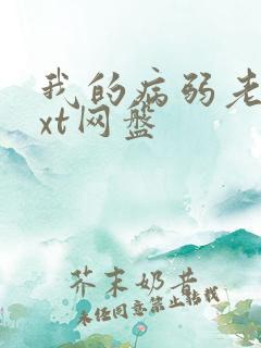 我的病弱老婆txt网盘