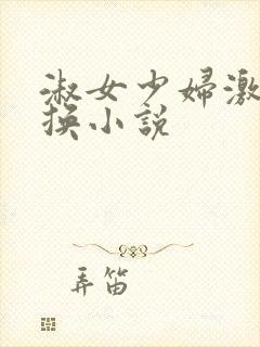 淑女少妇激情交换小说