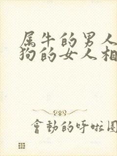 属牛的男人和属狗的女人相配吗