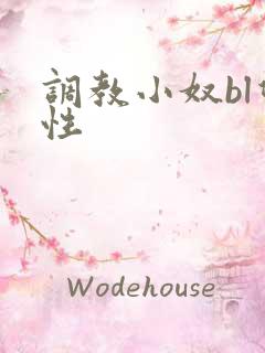 调教小奴bl双性