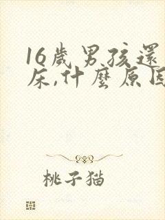 16岁男孩还尿床,什么原因?