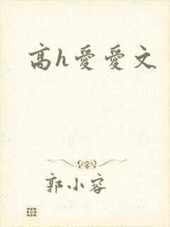 高h爱爱文
