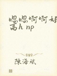 嗯嗯啊啊好爽 高h np