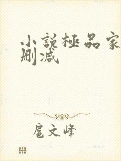 小说极品家丁无删减