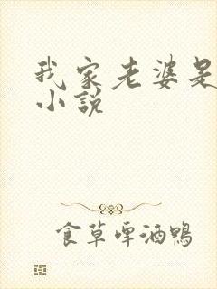 我家老婆是女帝小说