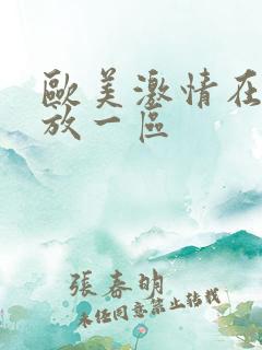 欧美激情在线播放一区