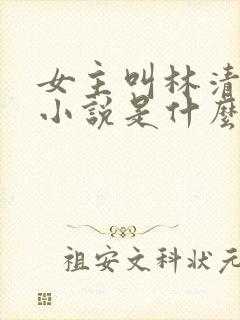 女主叫林清雪的小说是什么