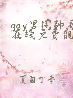 gay男同帅哥在线免费观看
